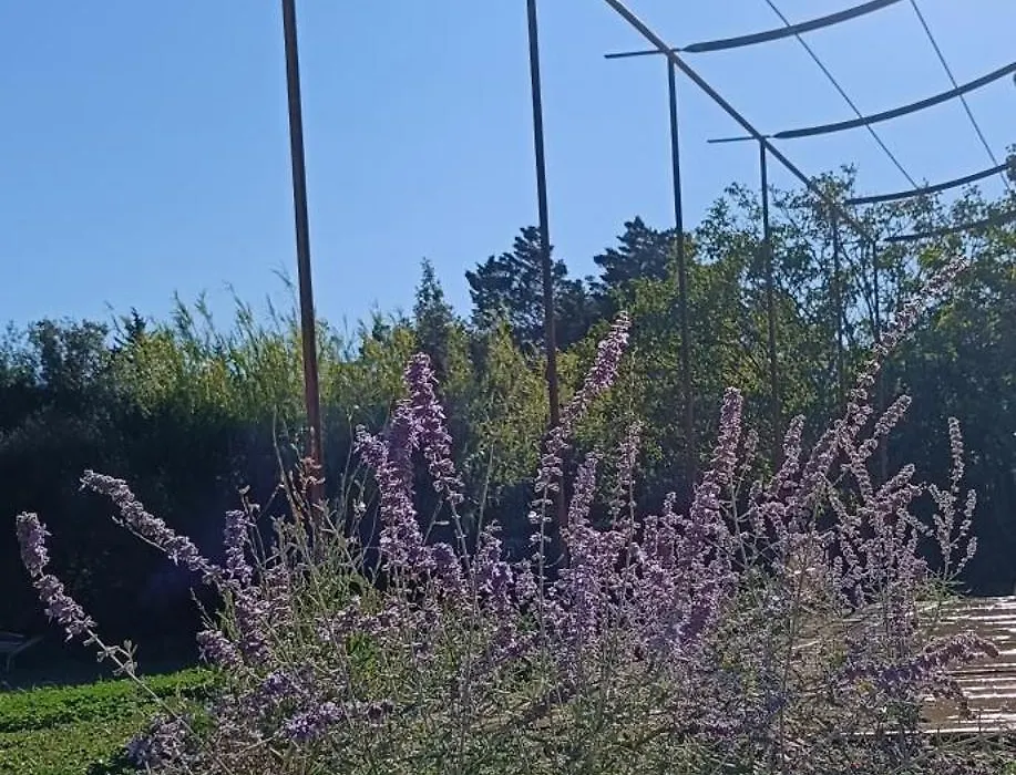 Le Refuge des Cigalons-1